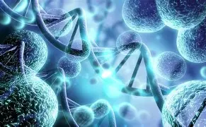 Biology Form 4 (MSCE – Malawi School Certificate of Education)